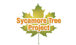 sycamore-treee-project